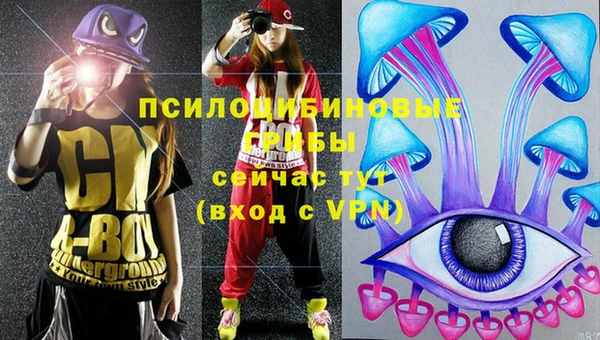 стаф Белоозёрский