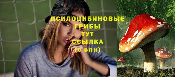 apvp Богородицк