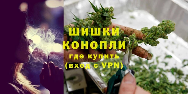 мдпв Семилуки
