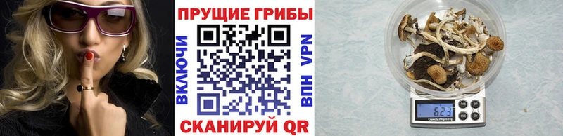 наркота Володарск Псилоцибиновые грибы мухоморы